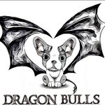 Profile Picture of Jose Quiles Dragon Bull (@jose_dragon_bull) on Instagram