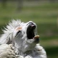 Profile Picture of Jim Carr (@jim-carr-43) on Quora