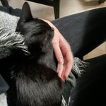 Profile Picture of bald mal wieder unterwegs (@wolauraist) on Instagram