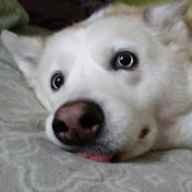 Profile Picture of Dylan Mann (@dylanmann3429) on Youtube