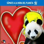 Profile Picture of velia sandoval pereira (@veliasandovalperei) on Instagram