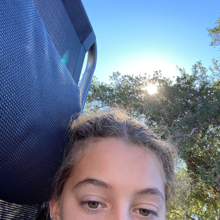 Profile Picture of FrancesMcd1 (@francesmcd1) on Tiktok
