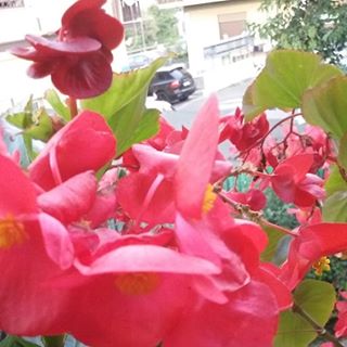 Profile Picture of Bianca Mancini (@bianca.mancini.948) on Facebook