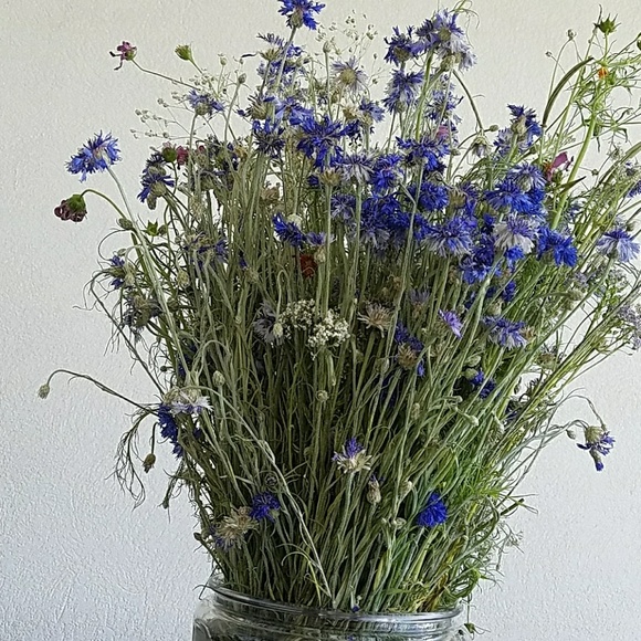 Profile Picture of Lori Kjar (@mlkjar) on Poshmark