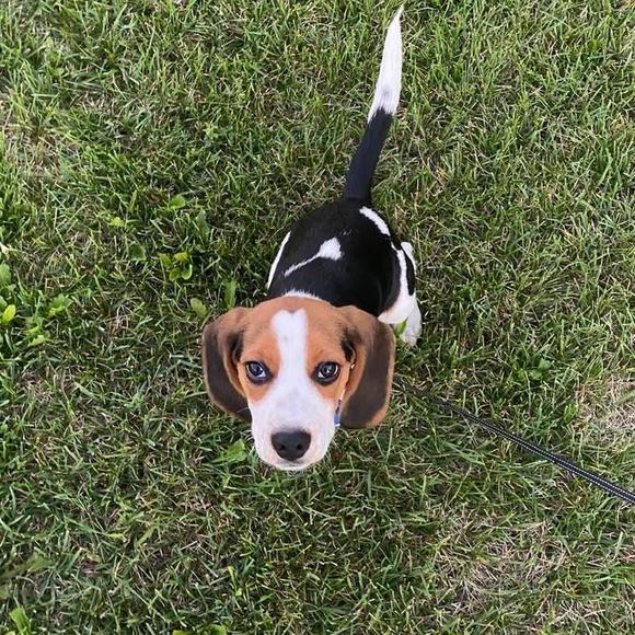 Profile Picture of Helen Blicharz (@helenblicharz) on Poshmark