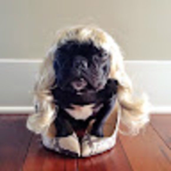 Profile Picture of Captainpinz Wynant (@awesomelucygirl) on Poshmark