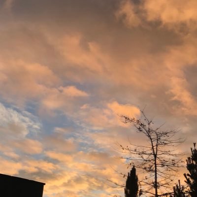 Profile Picture of Dawn Beck (@dawnbeck1234) on Twitter