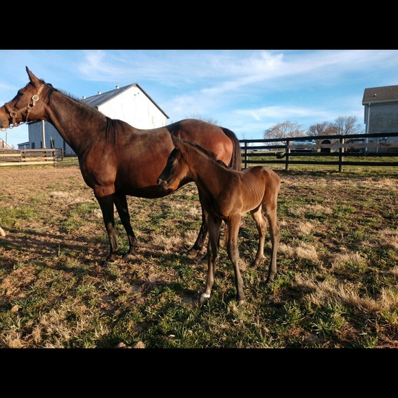 Profile Picture of Doug Hesterly (@dhesterly) on Poshmark