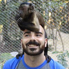 Profile Picture of Fabio Iannelli (@fabioiannelli) on Tiktok