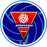 Profile Picture of Asoc. de Voleibol de Quillota (@aprovoqui) on Instagram