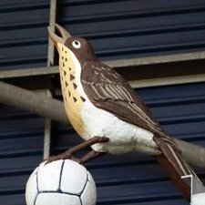 Profile Picture of Stephen Herrington (@ste_herrington) on Twitter