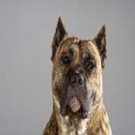 Profile Picture of GeraldHanna (@geraldhannal) on Instagram