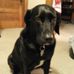 Profile Picture of Dawn Sura Abramowski (@dawn.abramowski.5) on Facebook