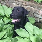 Scott Skinner - Instagram Profile Picture of Scott Skinner (@smedley9999) on Instagram