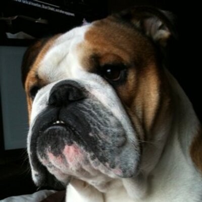 Profile Picture of Chris Jessop (@jaff1283) on Twitter