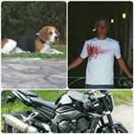 Profile Picture of Joseph Elbaz (@jokid1905) on Instagram