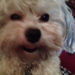 Profile Picture of Dusty Seifert (@dustycowboy1324) on Instagram