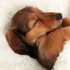 Profile Picture of Kyle Neville Mckay (@K207_Jungle) on Twitter