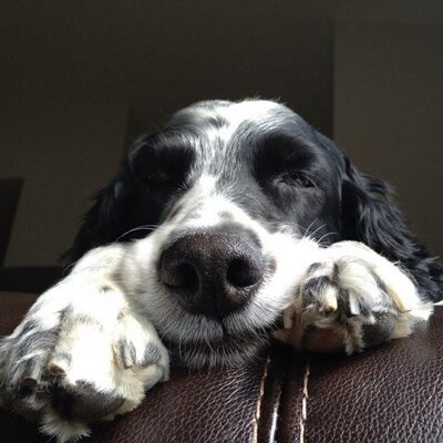 Profile Picture of Jenny (@SoDakSetter) on Twitter