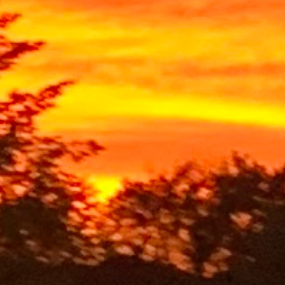 Profile Picture of Stephanie Muise (@chuckiemack) on Poshmark