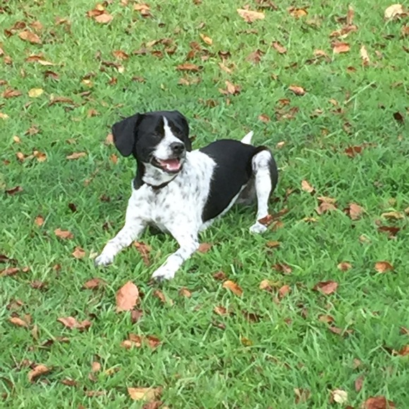 Preston Robinson - Poshmark Profile Picture of Preston Robinson (@pdawg21) on Poshmark