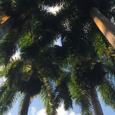 Profile Picture of Lila (@RichardsKalila) on Twitter