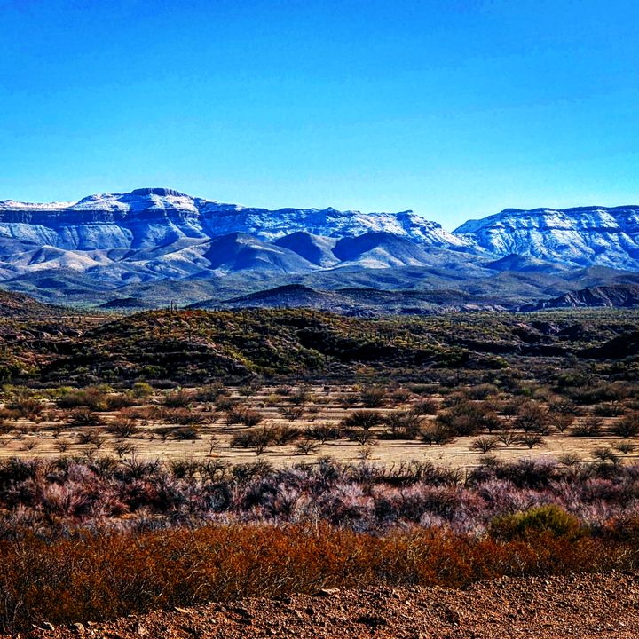 Profile Picture of Brian Nevitt (@azbanev) on Tiktok