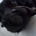 Profile Picture of Sally Ann Murphy (@sallyann.murphy.56) on Facebook