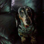 Profile Picture of DebbiePoole (@deborah.poole) on Instagram