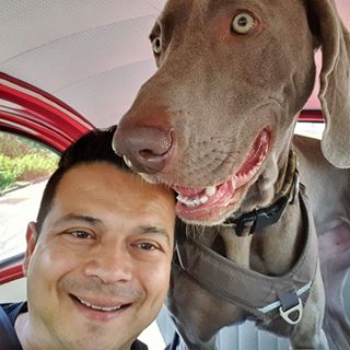 Profile Picture of Roy Hendriks (@roy.hendriks.758) on Facebook