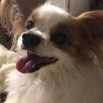 Trudy A Sutherland - Instagram Profile Picture of Trudy A Sutherland (@trudyasutherland) on Instagram