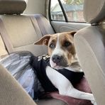 Profile Picture of Jozlyn Harrington (@jozlyn.harrington.3) on Facebook