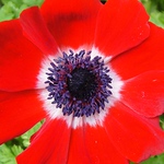 Profile Picture of Michael Saxon (@micsax2) on Flickr