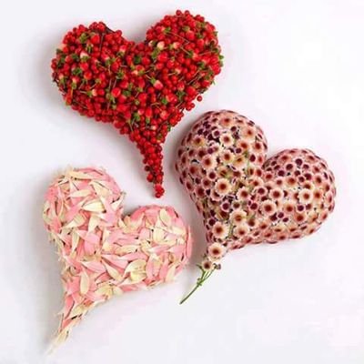 Profile Picture of Shazia Hashmi (@shaziahashmi473) on Twitter