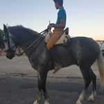 Profile Picture of David Avila🍀 (@david_avila8386) on Instagram