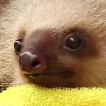 Profile Picture of Joe (@JoeInTheWorld) on Twitter