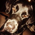 Profile Picture of Gregory (@gregs_benedict_) on Instagram