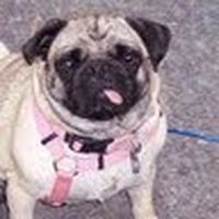 Profile Picture of Debra Hook (@debra-hook-6) on Quora
