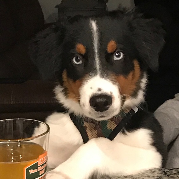 Profile Picture of Tyler Rolince (@tyler_rolince) on Poshmark