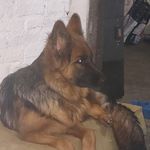 Godoy Rudy - Instagram Profile Picture of Godoy Rudy (@rudycolonia) on Instagram