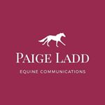 Profile Picture of Paige Ladd Equine Comm. (@paigeladdequine) on Instagram
