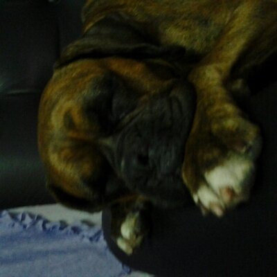 Profile Picture of Norma Barrientos (@norype) on Twitter