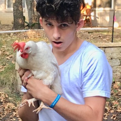 Profile Picture of Lucas Preston (@Luke_or_preston) on Twitter