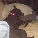 Profile Picture of Jeffrey Brumfield (@jeffreybrumfield) on Instagram