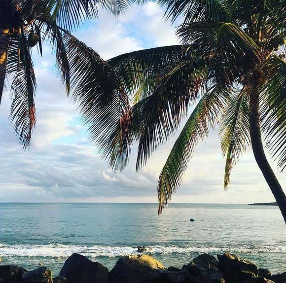 Profile Picture of Cindy Kennedy (@cindykennedy455) on Poshmark