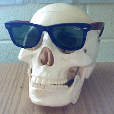 Profile Picture of Kim Reamer (@kimreamer) on Twitter