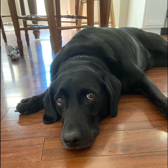 Profile Picture of Lori Carlson (@loricarlsonn24) on Poshmark