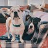 Profile Picture of Jun Huron (@@brooklyn_bagel) on Tiktok