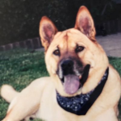 Profile Picture of Beverly Allen (@bballen2) on Twitter