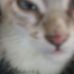 Profile Picture of Julio Jean (@julio.jean.526) on Facebook